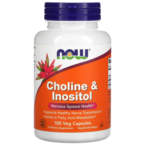 Choline & Inositol, 190 г, 100 шт. фотография