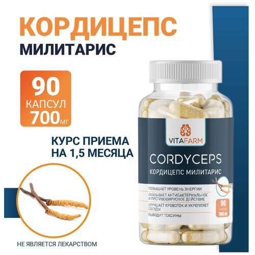 Кордицепс милитарис (Cordyceps militaris) капсулы 90 шт/ 700 мг купить за 1200 руб, фото