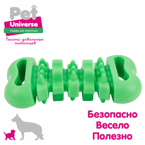 Игрушка для собак Pet Universe многофактурная косточка для жевания 12 см, ТПР, зелёный, PU3078GN фотография