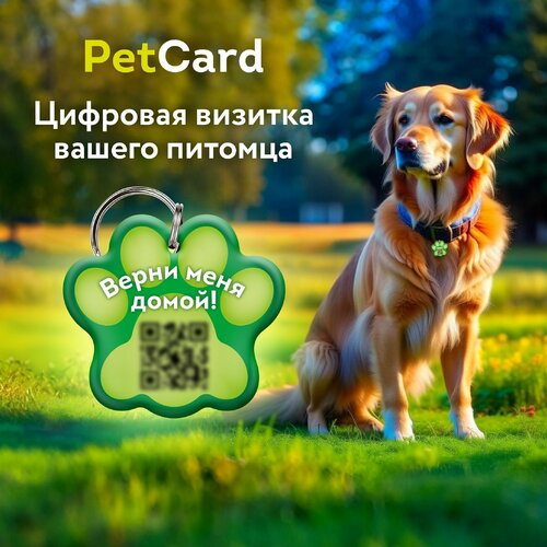 Адресник PetCard для собак и кошек с QR кодом и NFC, зелёный. купить за 450 руб, фото