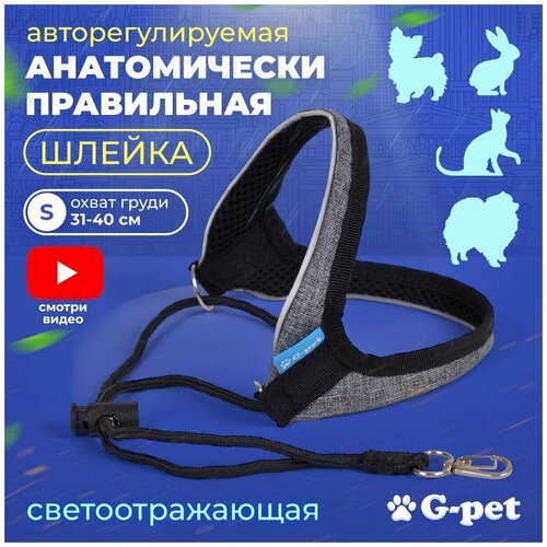 Авторегулируемая шлейка для мелких маленьких пород собак и кошек G-pet серый меланж р-р S (31-40 см) шпица йорка таксы, той терьера, щенка купить за 850 руб, фото