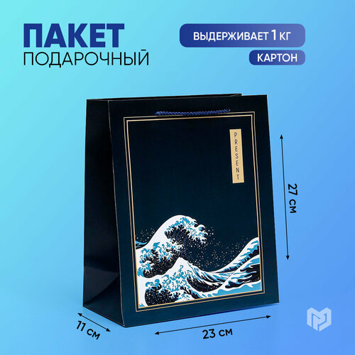 Пакет подарочный «Present», 23 × 27 × 11,5 см фотография