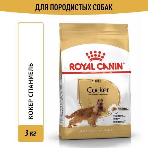 Корм для взрослых собак Royal Canin Cocker Adult (Кокер Эдалт) сухой для породы Кокер Спаниель от 12 месяцев, 3 кг фотография