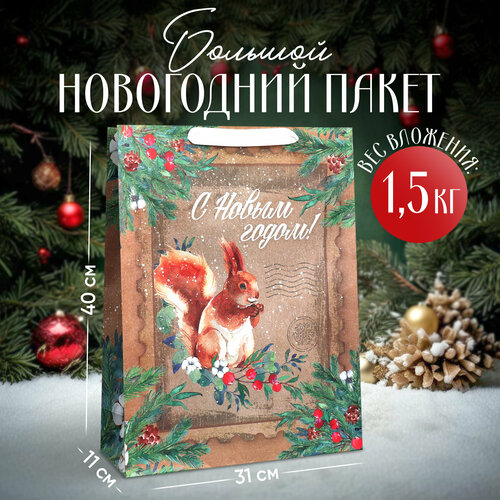 Пакет подарочный «С Новым годом», L 31 х 40 х 11.5 см, Новый год фотография