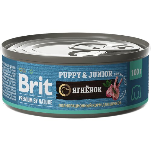 Влажный корм для собак Brit Premium by Nature Puppy & Junior ягнёнок 1 уп. х 1 шт. х 100 г фотография