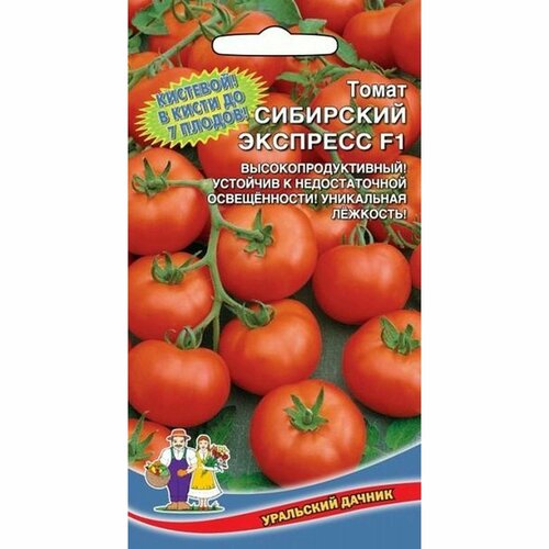 Семена Томат Сибирский Экспресс F1 (Уральский Дачник) 12шт купить за 45 руб, фото