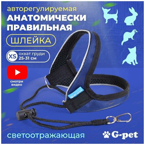 Авторегулируемая анатомическая шлейка для маленьких собак, кошек G-pet XS (25-31 см) темно-синяя для шпица щенка кошки кролика хорька купить за 850 руб, фото