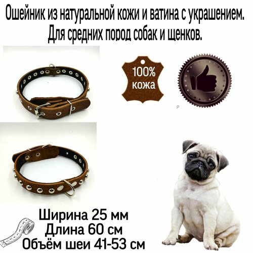 Ошейник для для собак кожаный с украшением, второй слой ватин 25мм *60см. Объём шеи 41-53 см. Кожаный ошейник для средних пород собак. фотография