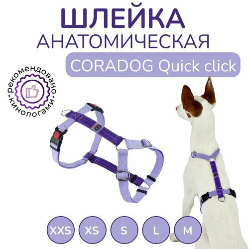 Шлейка прогулочная анатомическая для средних и крупных пород собак, CORADOG Quick click, размер M, цвет сиреневый, фиолетовый фотография