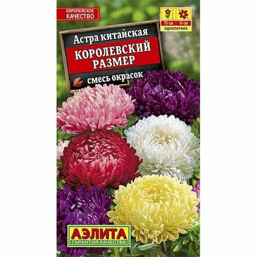 Семена Астра Королевский размер, смесь (однолетние) (Аэлита) 0,1г купить за 50 руб, фото