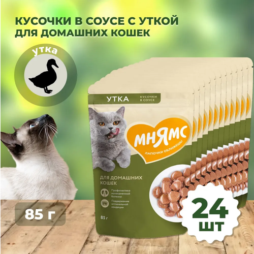 Мнямс пауч Кусочки в соусе с уткой для домашних кошек 85г (1*24) купить за 1846 руб, фото