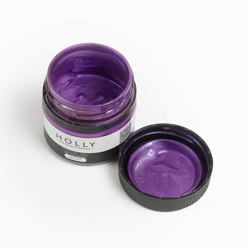 Holly Professional Грим на гелевой основе / краска для лица, волос и тела Color Gel Violet фотография