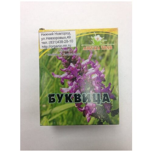 Буквица лекарственная, трава 1,5гр*20 фильтр-пакетов Азбука трав (Betonica officinalis L.) фотография