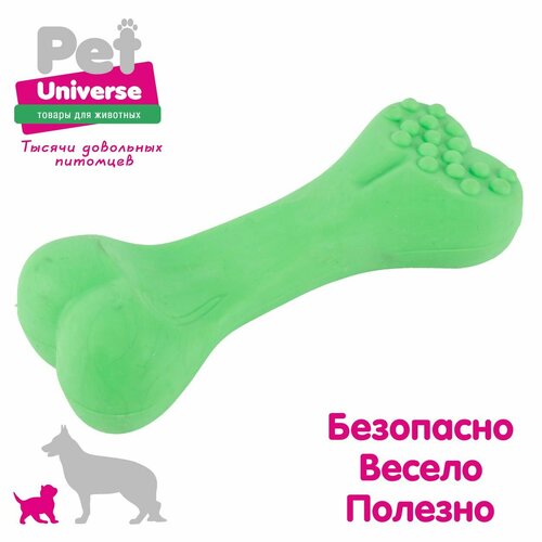 Игрушка для собак Pet Universe косточка с пупырышками, 12 см, ТПР, зелёный PU3071GN фотография