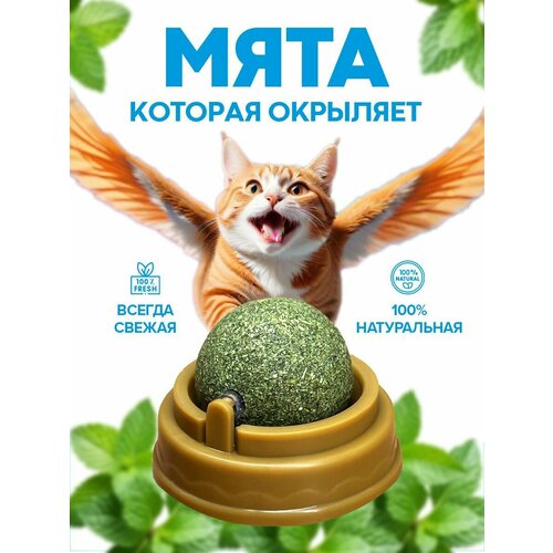 Кошачья мята шарик игрушка лакомство купить за 420 руб, фото