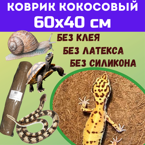 Коврик кокосовый для террариумов 60х40 см фотография