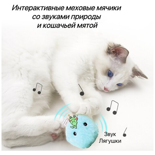 Игрушки для кошек, интерактивный мячик со звуком и кошачьей мяты для кошек фотография