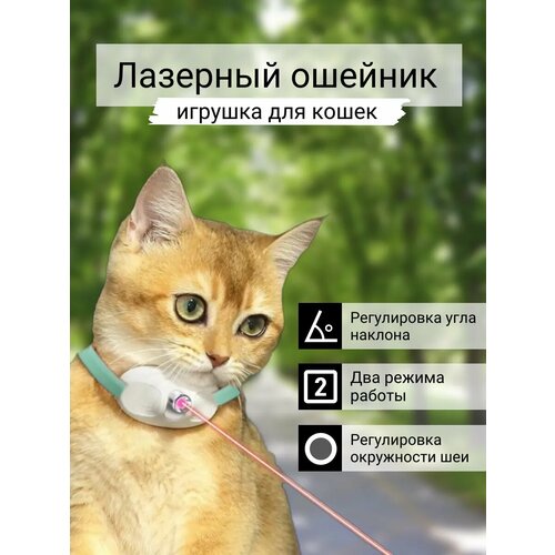 Игрушка для кошек интерактивный лазерный ошейник купить за 499 руб, фото