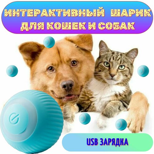 Интерактивная игрушка для животных (синяя)/Игрушка для кошек и собак мелких пород/Дразнилка для животных фотография