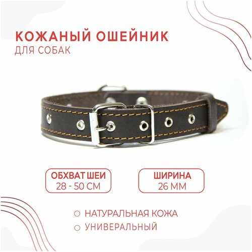 Кожаный ошейник (обхват шеи 28-50 см.) для собак / Коричневый цвет купить за 542 руб, фото