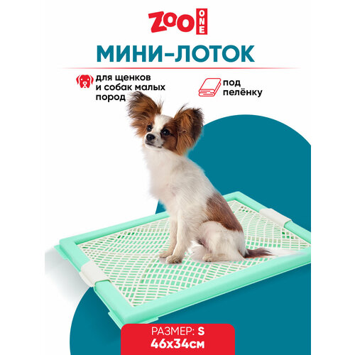 Туалет для щенков ZooOne Мини с сеткой 46х34х2 см 1 шт. 1 шт. 46 см 34 см 2 см зеленый S купить за 812 руб, фото