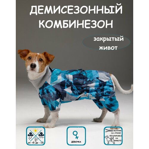 Комбинезон для собак DOGMODA Классик девочка мята размер 5 фотография