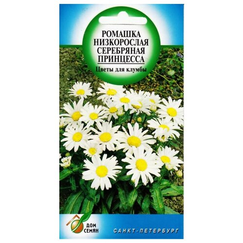 Ромашка многолетняя низкорослая Серебряная Принцесса, 80 семян фотография