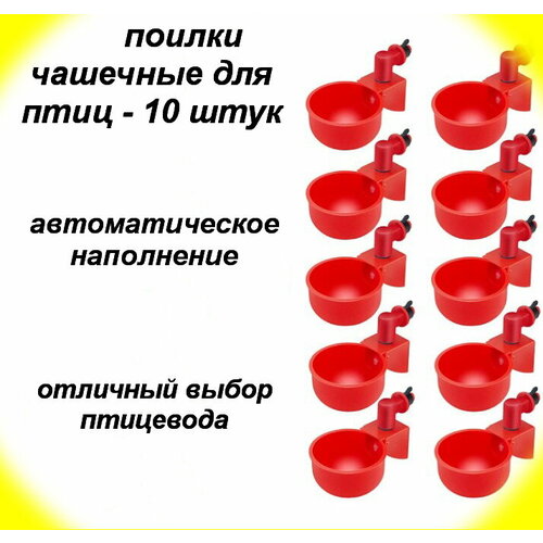 Поилки чашечные для птиц-10 шт фотография