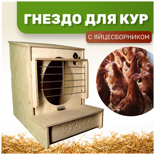 Гнездо для кур-несушек с яйцесборником (Гнездо-Ф) купить за 3100 руб, фото