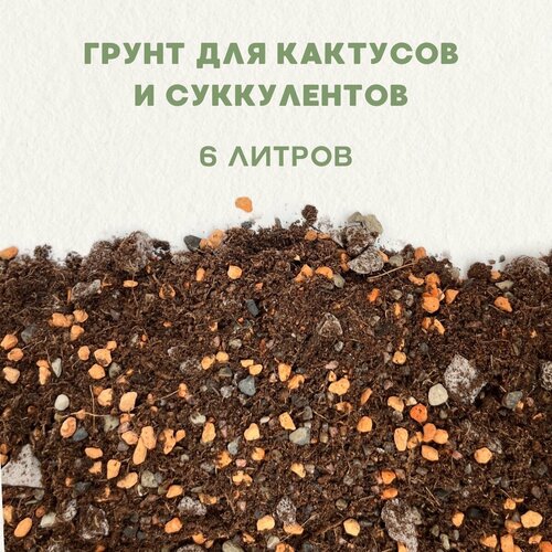 Готовый грунт для кактусов и суккулентов. Грунт для сансевиерии. 6 литров. купить за 2040 руб, фото