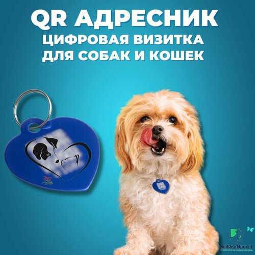 Адресник для собак и кошек с гравировкой QR кода, сердечко фотография