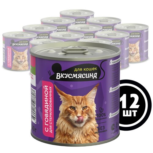 Влажный корм для кошек Вкусмясина Консервы для стерилизованных кошек с говядиной 12 шт. х 240 г (фарш) фотография