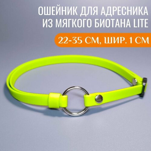 R-Dog Тонкий ошейник из мягкого биотана Lite для адресника, цвет зеленое яблоко, 22-35 см, ширина 1 см фотография