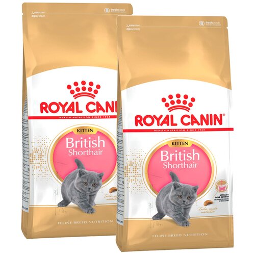 Сухой корм ROYAL CANIN BRITISH SHORTHAIR KITTEN 34 для британских короткошерстных котят (0,4 + 0,4 кг) фотография