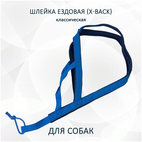 Шлейка ездовая X-Back, классическая синяя фотография