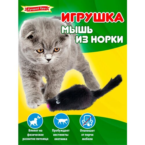 Игрушка для кошек и котят Лучший друг мышь из норки темная, 5см 07027-1 фотография