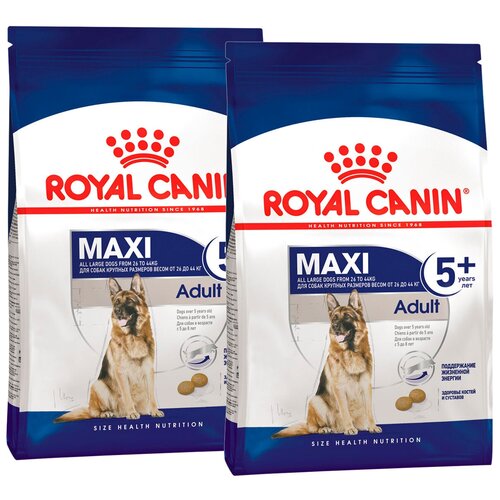 ROYAL CANIN MAXI ADULT 5+ для пожилых собак крупных пород старше 5 лет (15 + 15 кг) фотография