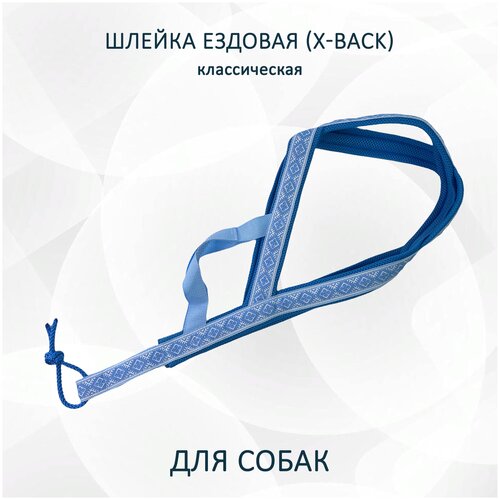 Шлейка ездовая X-Back, классическая 