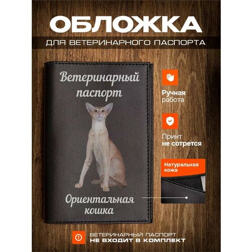 Обложка на ветеринарный паспорт для кошек Ориентальная кошка фотография