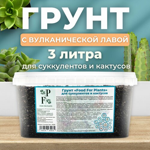 Грунт для суккулентов и кактусов. Субстрат для комнатных растений. купить за 689 руб, фото