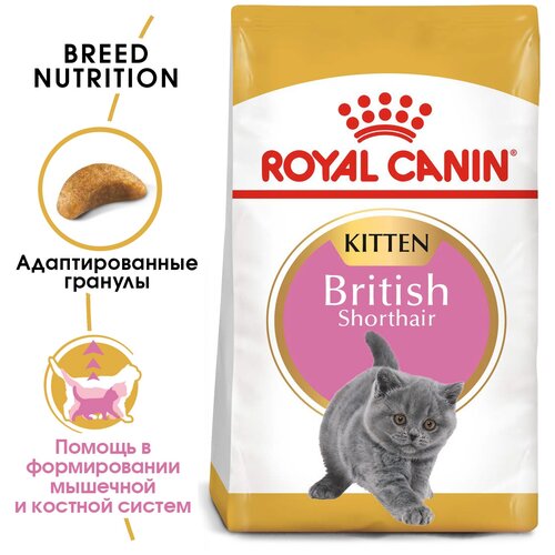 Сухой корм для котят Royal Canin Kitten British Shorthair для британских короткошерстных котят от 4 до 12 месяцев 2 уп. х 2 шт. х 10000 г фотография