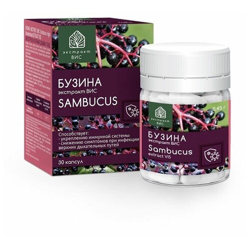 Бузина экстракт ВИС (Sambucus nigra Standardized EXTRACT VIS) капсулы 0,45 г №30 фотография