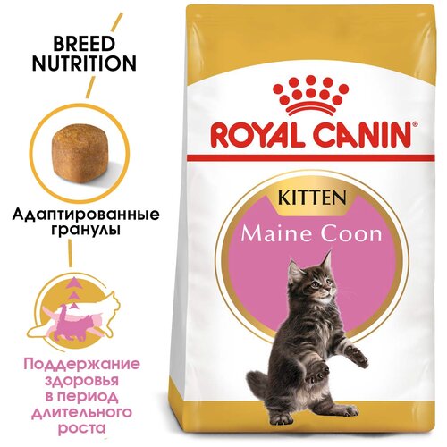 Сухой корм для котят Royal Canin Maine Coon Kitten для котят породы Мэйн Кун  от 4 до 15 месяцев 2 шт. х 4000 г фотография