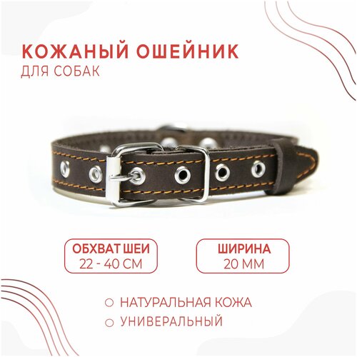 Кожаный ошейник (обхват шеи 22-40 см.) для собак / Коричневый купить за 379 руб, фото