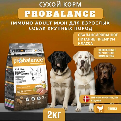 Сухой корм ProBalance Immuno Adult Maxi для взрослых собак крупных пород, 2 кг фотография