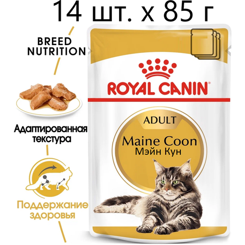 Влажный корм для кошек Royal Canin Maine Coon Adult, для взрослых кошек породы мейн-кун, 14 шт. х 85 г (кусочки в соусе) купить за 1776 руб, фото