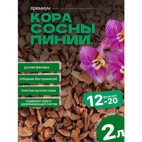 Отборная кора из сосны пинии для Орхидей 2л, фракция 12-20мм, аналог орхиата купить за 699 руб, фото